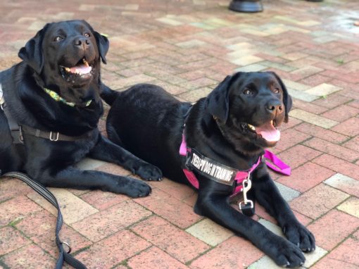 Libby and Penny