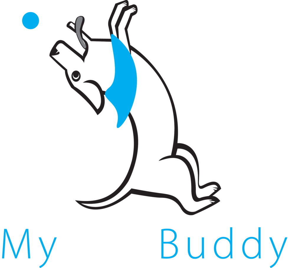 Services My Best Buddy Dog Training