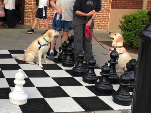 Casey and Holly play chess